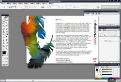Adobe PhotoShop CS 8.01 ľװ ʾͼ